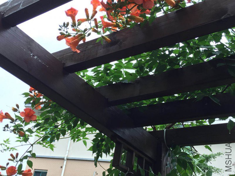 ΢��ͼƬ_20180530083030.jpg