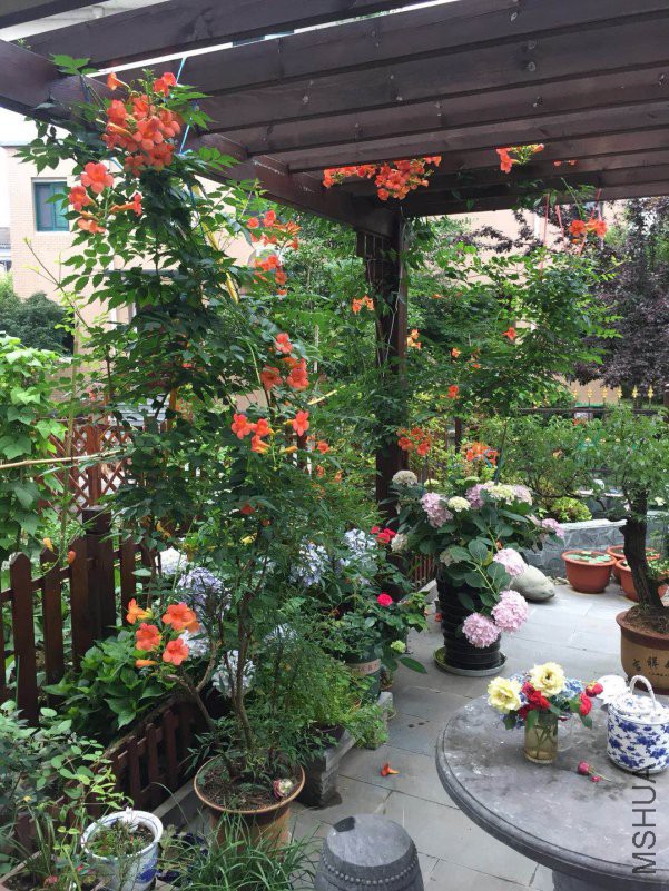 ΢��ͼƬ_20180530083052.jpg