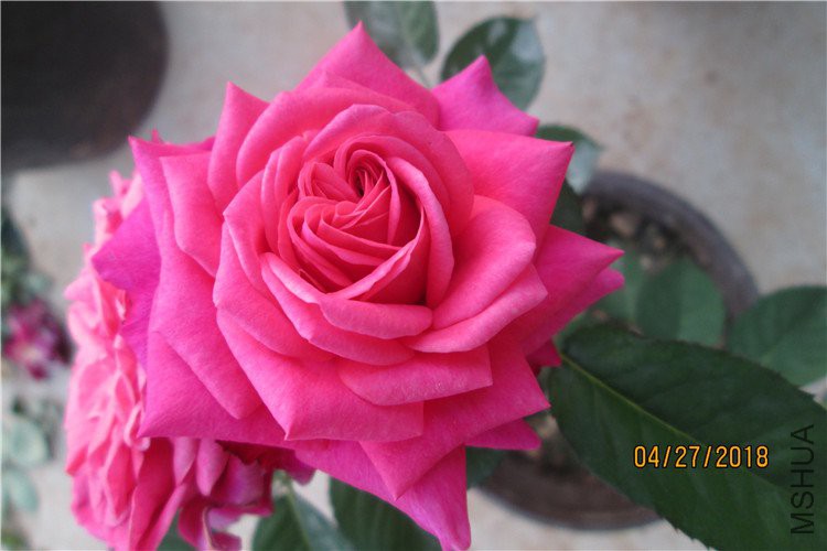 ��Ƭ 076_����.jpg