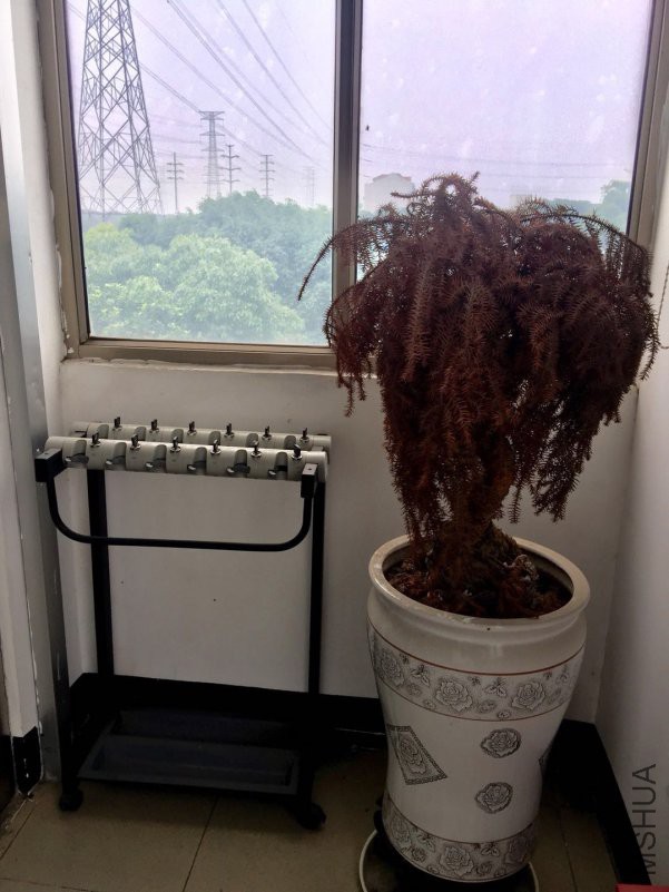 ΢��ͼƬ_20180530081236.jpg