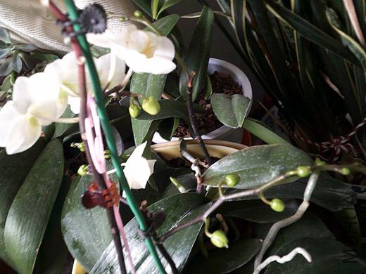 DSCF0012 (2)_����.jpg