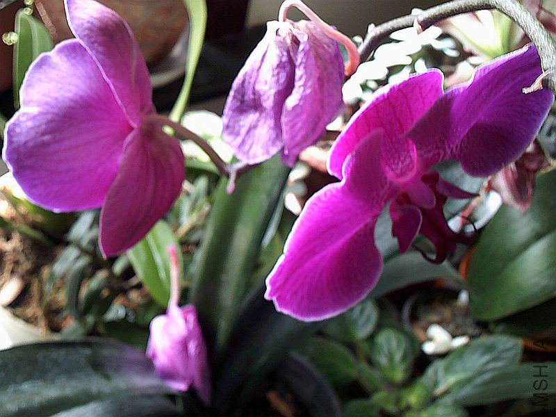 DSCF0011 (2)_����.jpg