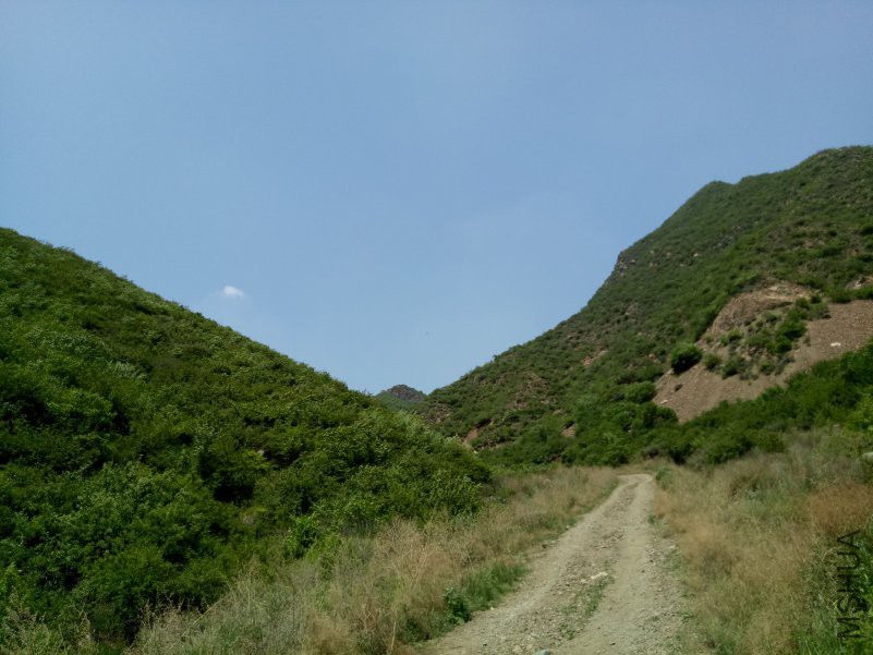 IMG20180602120852.jpg