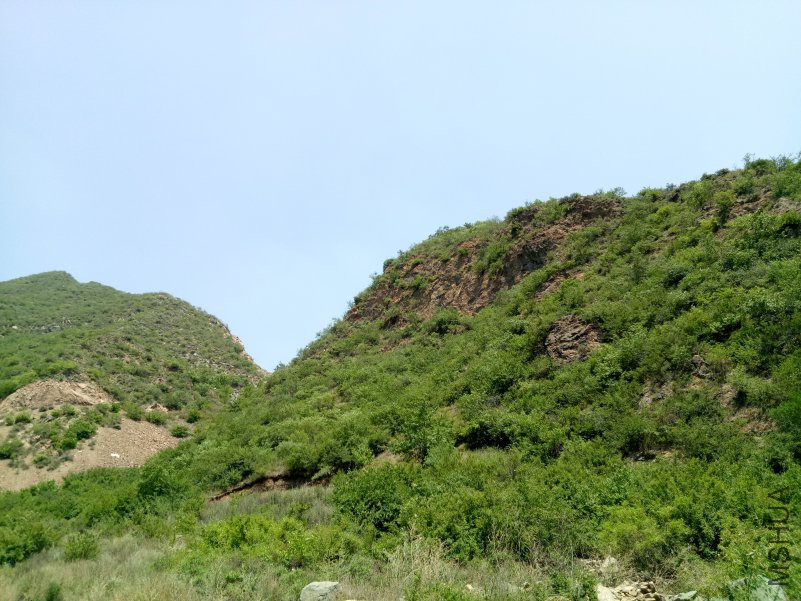 IMG20180602120828.jpg