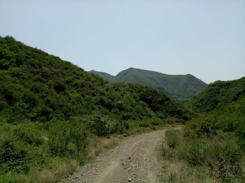 IMG20180602120759.jpg