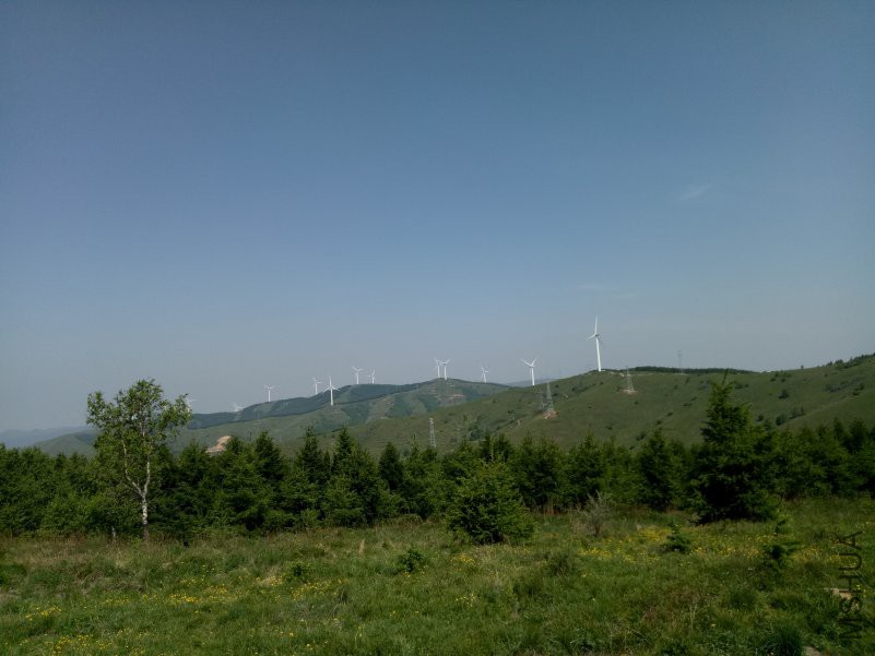 IMG20180602093652.jpg