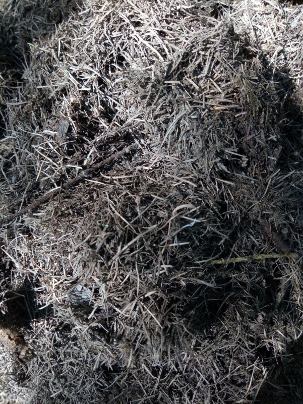 IMG20180602095316.jpg