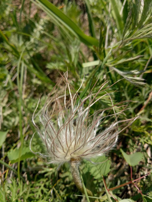 IMG20180602103942.jpg