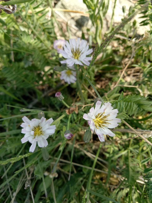 IMG20180602103734.jpg