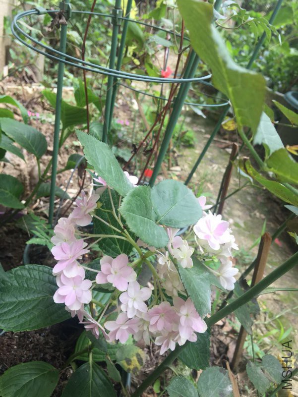΢��ͼƬ_20180604082015.jpg