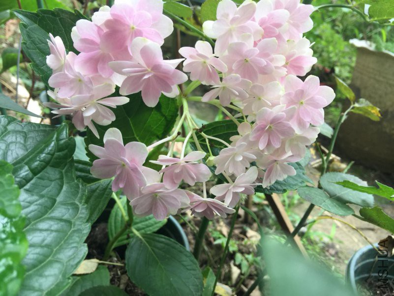 ΢��ͼƬ_20180604082027.jpg