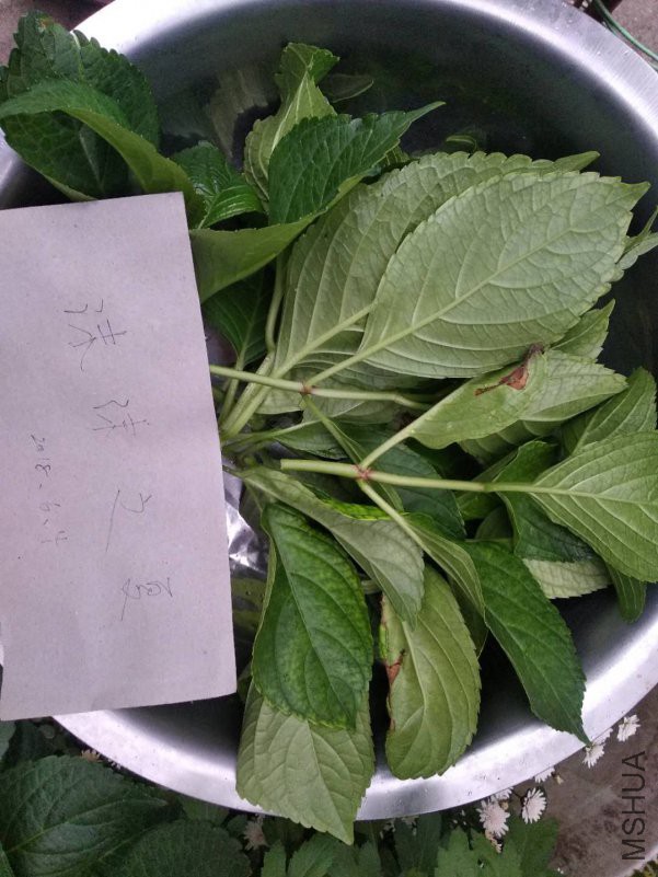 ΢��ͼƬ_20180604181724.jpg