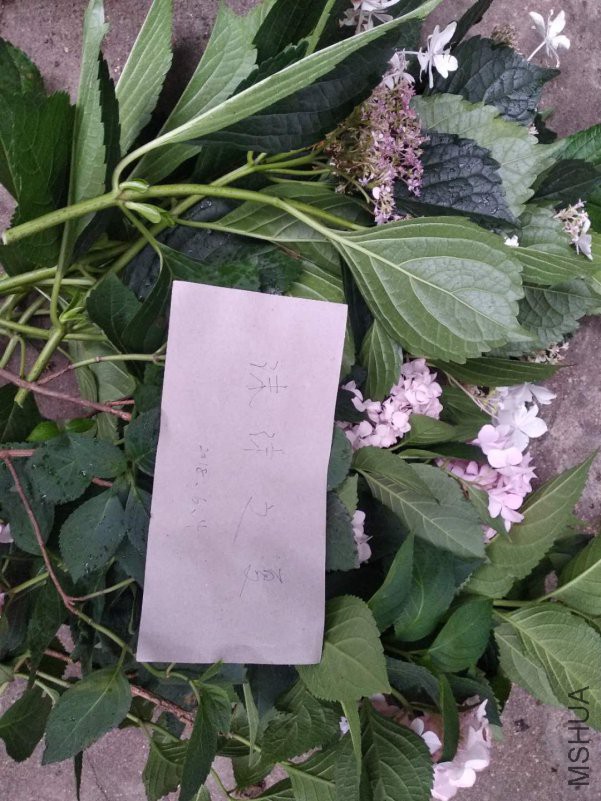 ΢��ͼƬ_20180604181737.jpg