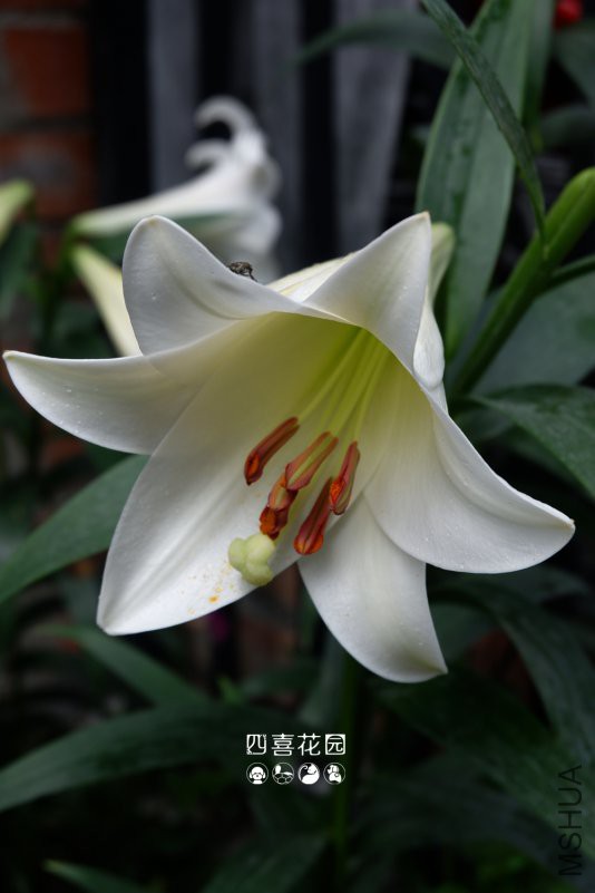 DSCF3338.jpg