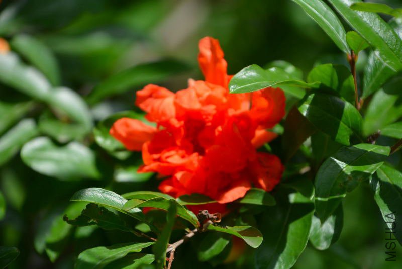 DSC_82950418.JPG