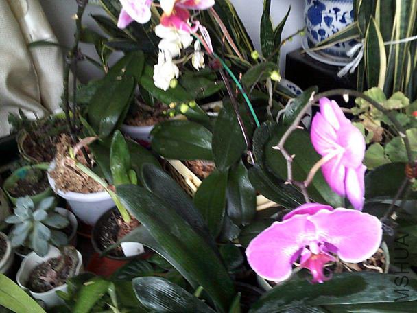 DSCF0004 (3)_����.jpg