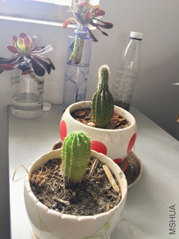 ΢��ͼƬ_20180608110228.jpg