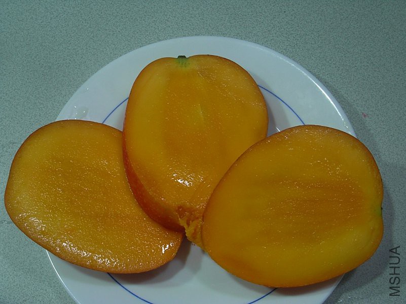 R9298959.JPG