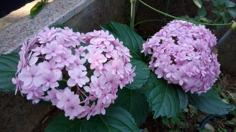 ΢��ͼƬ_20180613085113.jpg