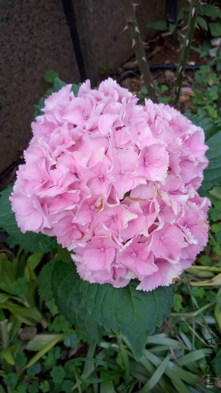 ΢��ͼƬ_20180613084706.jpg