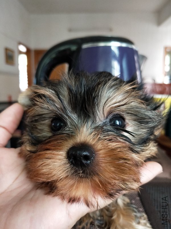 IMG20180614115347.jpg