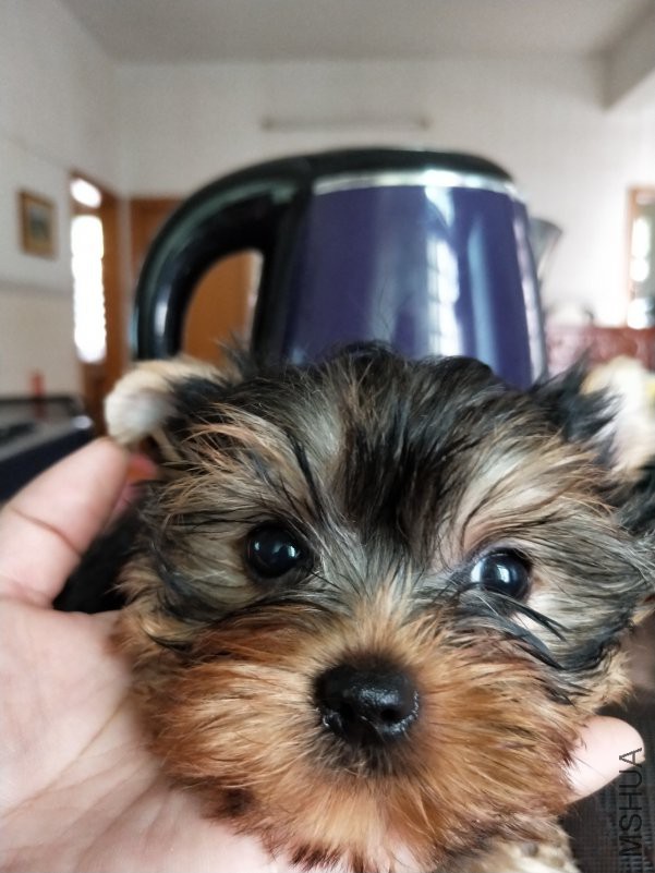 IMG20180614115352.jpg