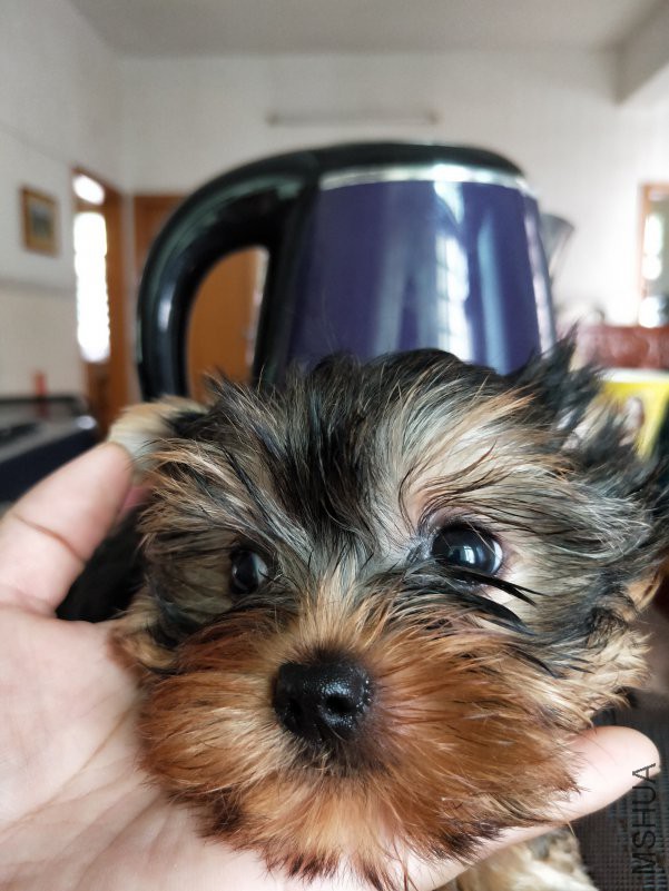 IMG20180614115355.jpg