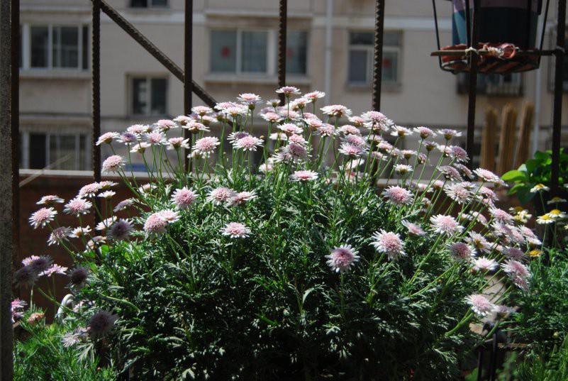DSC_0121.JPG