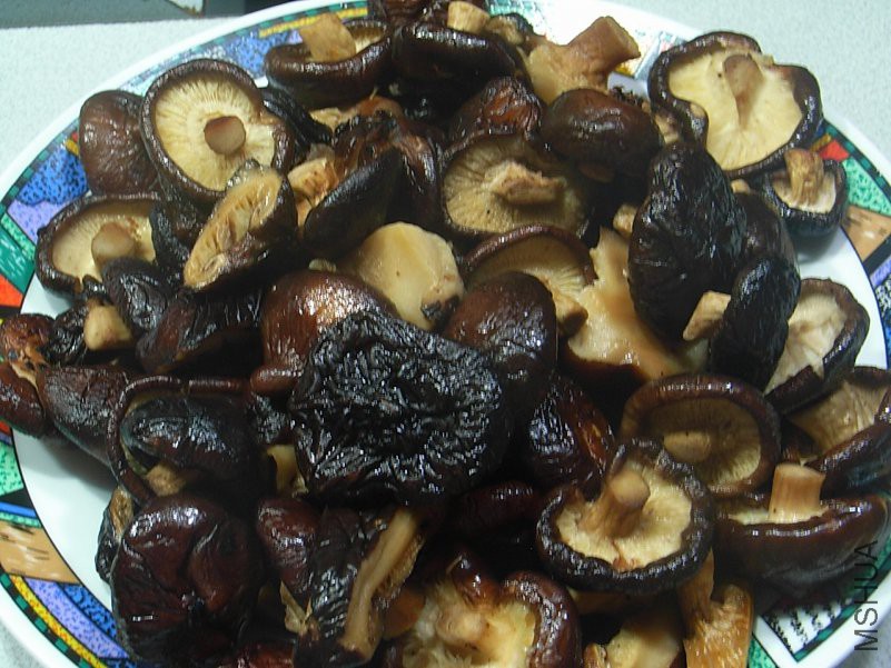 R9298971.JPG