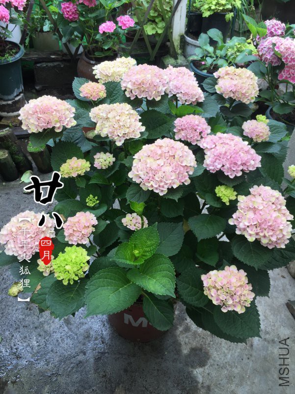 ħ�ø���