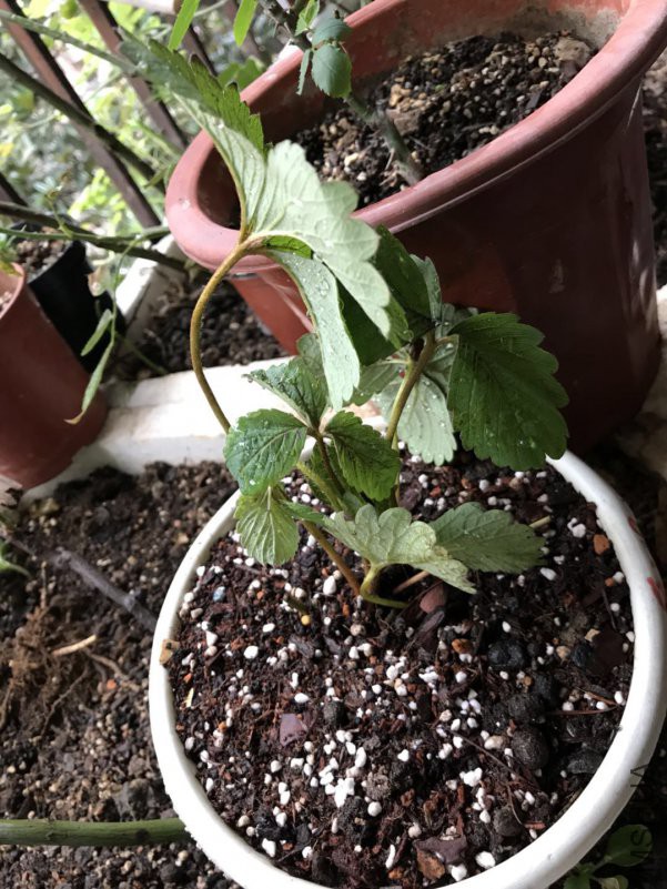 ΢��ͼƬ_20180620115308.jpg