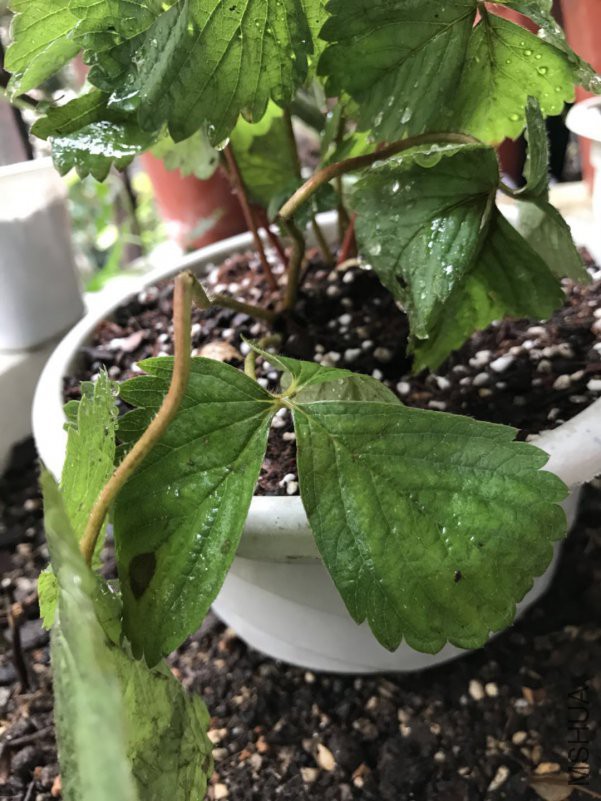 ΢��ͼƬ_201806201153081.jpg