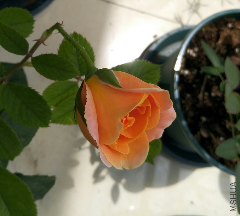 �տ���ʱ��