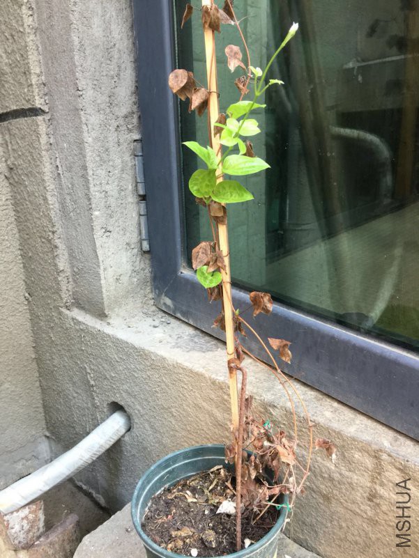 ΢��ͼƬ_20180621075008.jpg
