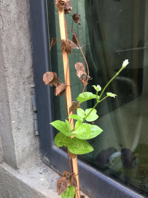 ΢��ͼƬ_20180621075003.jpg