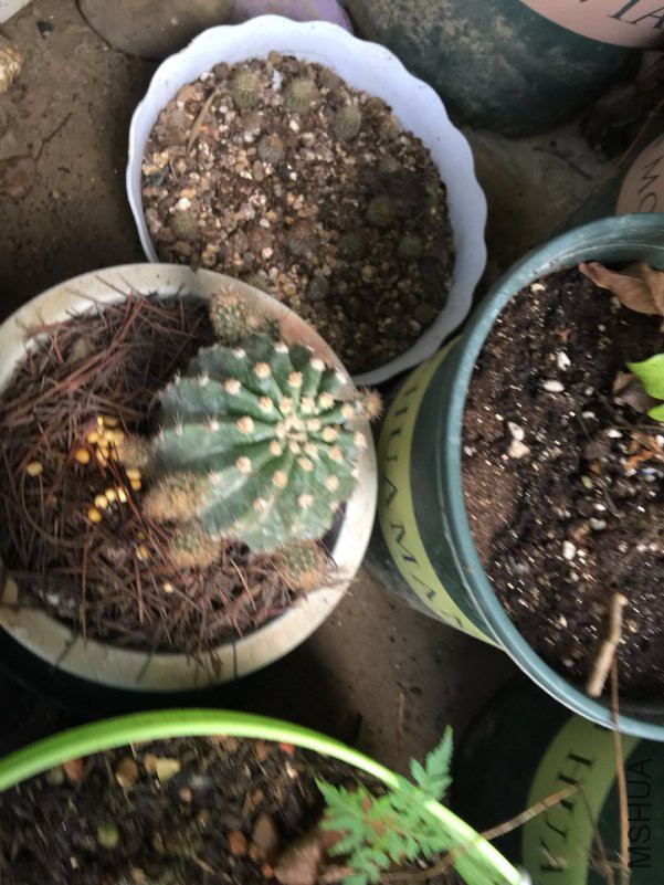 ΢��ͼƬ_20180621075219.jpg