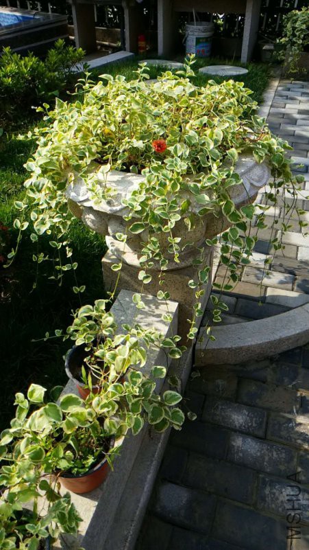 ΢��ͼƬ_20180621084839.jpg