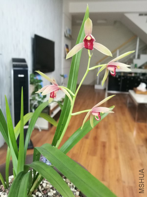 IMG_20180622_070934.jpg