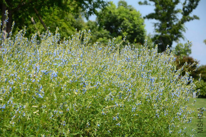 DSC_92590614.JPG