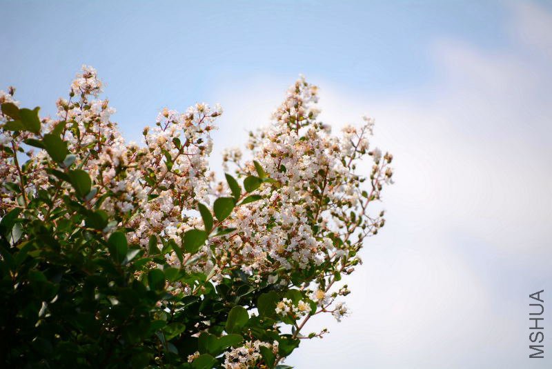 DSC_87930148.JPG