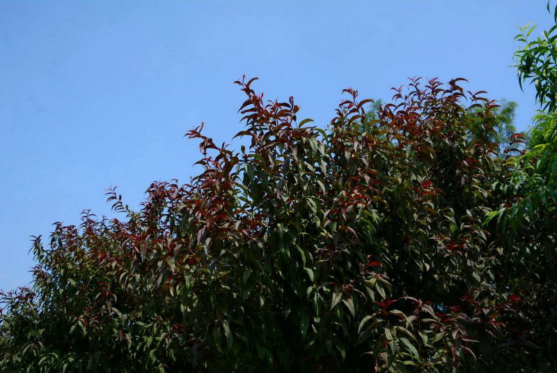 DSC_91630518.JPG