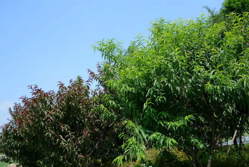 DSC_91660521.JPG