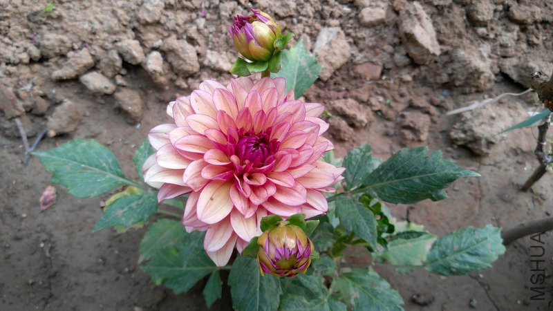 20180607_8.jpg