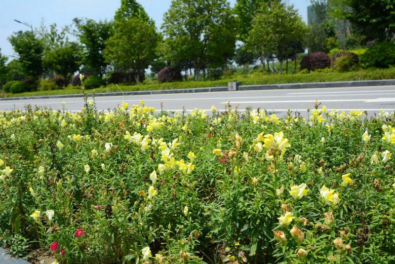 DSC_88630218.JPG