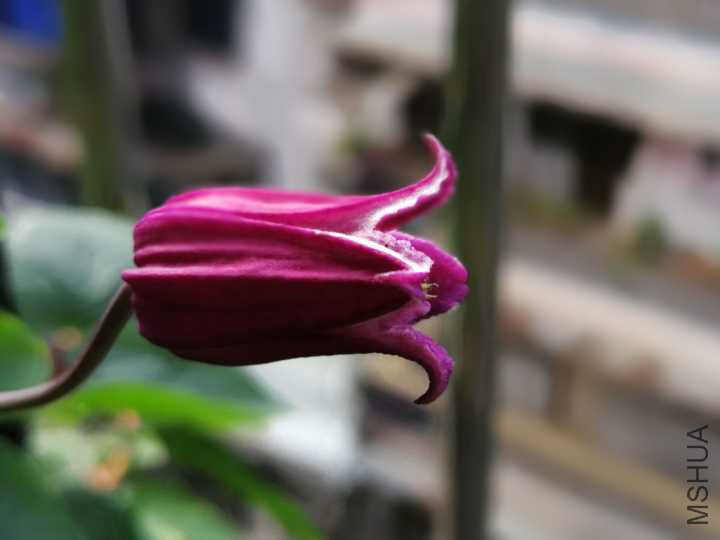 6FA8A5A4AD0354AA2D519341CB9041F7.jpg