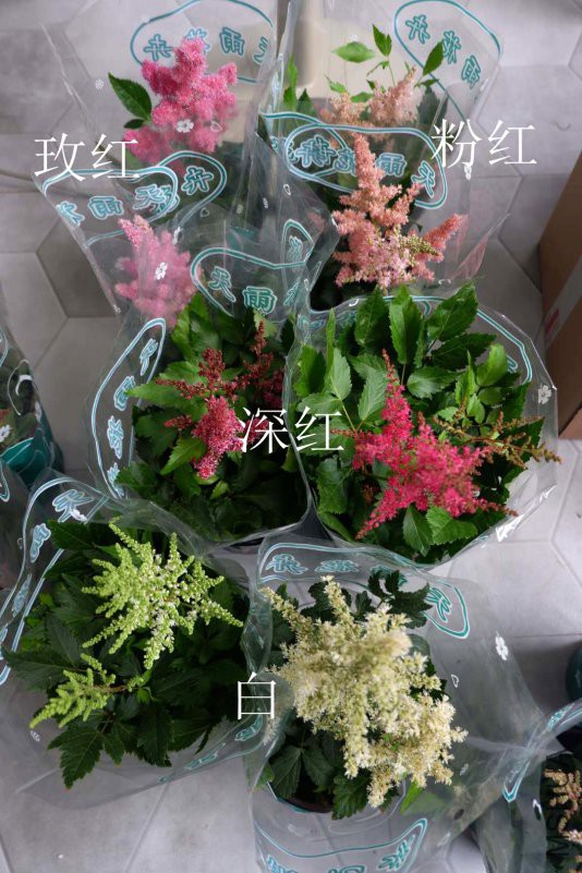 ΢��ͼƬ_20180625140930.jpg