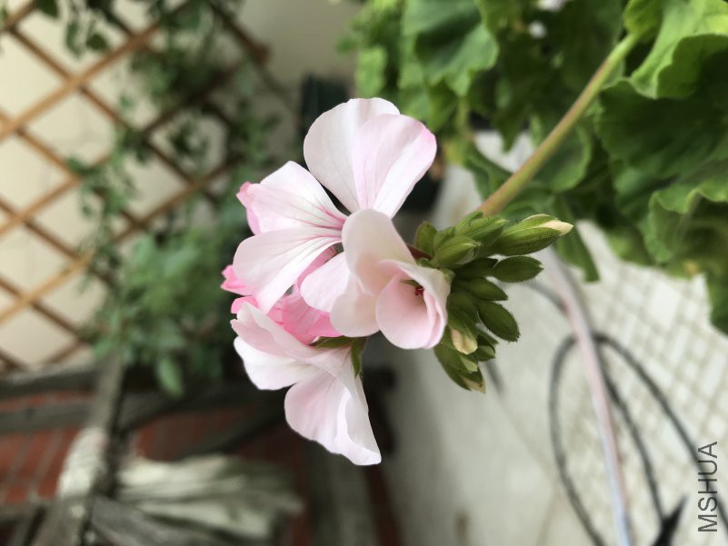 2B812E3F-6576-4D4A-9AE2-5BFDAAD27B30.jpeg
