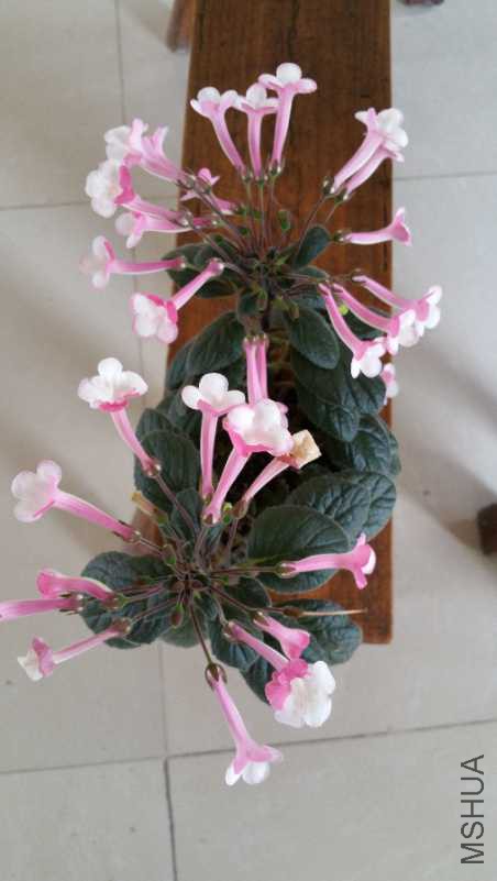 20180624_102040.jpg