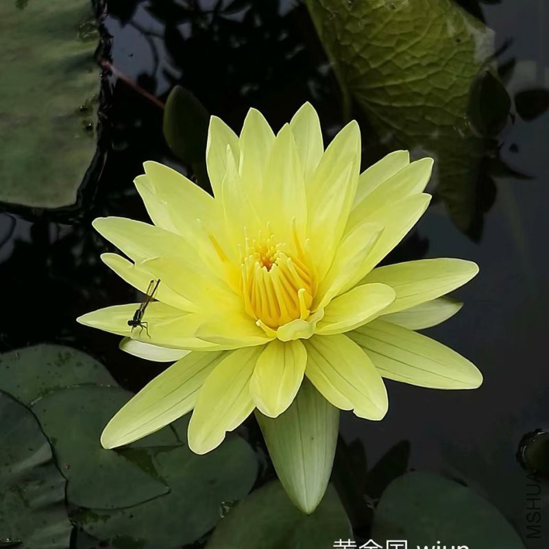 psb (15).jpg