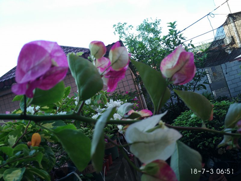 ΢��ͼƬ_20180703073357.jpg
